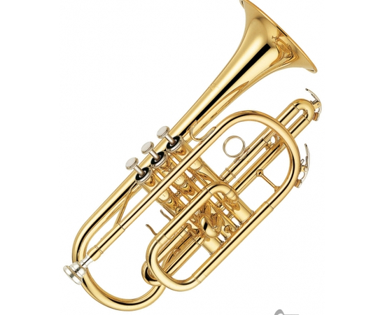  - 21931 за 0 грн. | 4Club